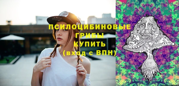 a pvp Михайловск