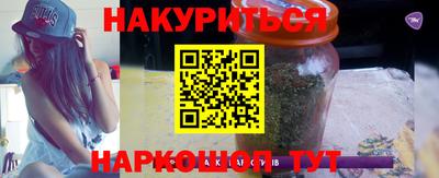 амф Гай