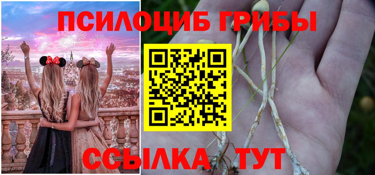 Галлюциногенные грибы прущие грибы Каменка