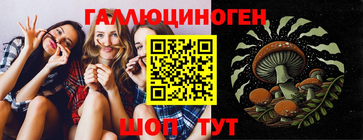 Псилоцибиновые грибы мухоморы  где купить наркоту  Каменка 