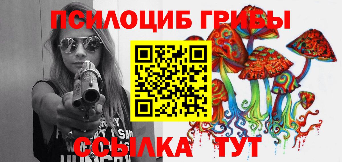 Галлюциногенные грибы Psilocybine cubensis Каменка