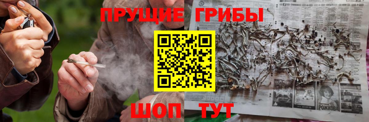 Галлюциногенные грибы Magic Shrooms  Вход с VPN  Псилоцибиновые грибы Psilocybe  Каменка 