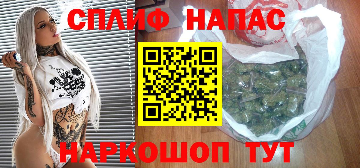 Конопля MAZAR Каменка